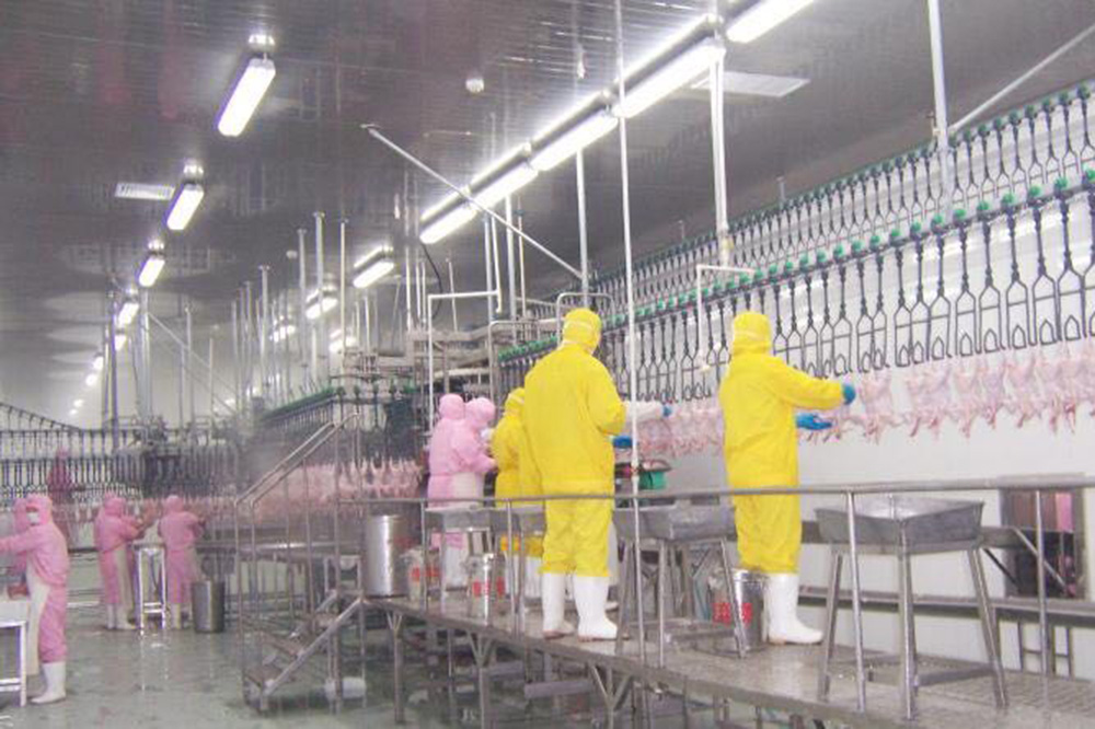 1523945880168271.jpg 1523867469.jpg